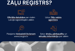 infografika